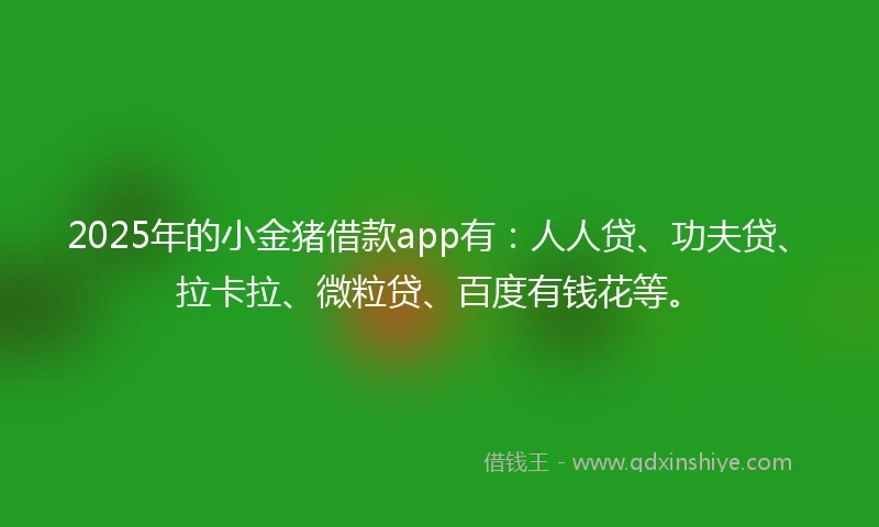 2025年的小金猪借款app有：人人贷、功夫贷、拉卡拉、微粒贷、百度有钱花等。
