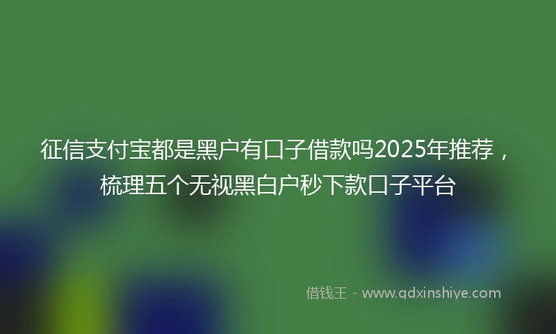征信支付宝都是黑户有口子借款吗2025年推荐,梳理五个无视黑白户秒下款口子平台