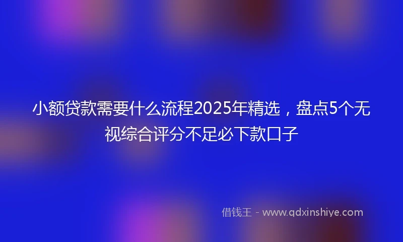 小额贷款需要什么流程2025年精选，盘点5个无视综合评分不足必下款口子