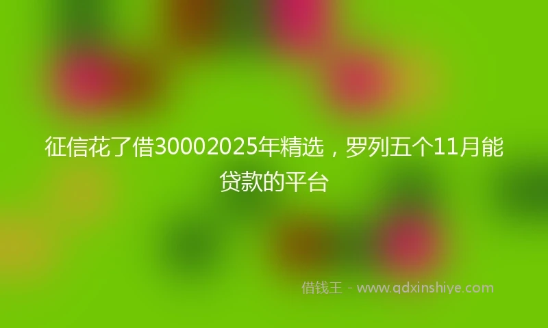 征信花了借30002025年精选，罗列五个11月能贷款的平台