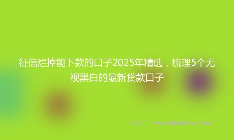征信烂掉能下款的口子2025年精选，梳理5个无视黑白的最新贷款口子