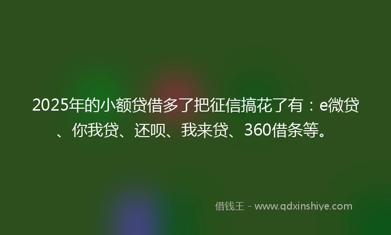 2025年的小额贷借多了把征信搞花了有：e微贷、你我贷、还呗、我来贷、360借条等。