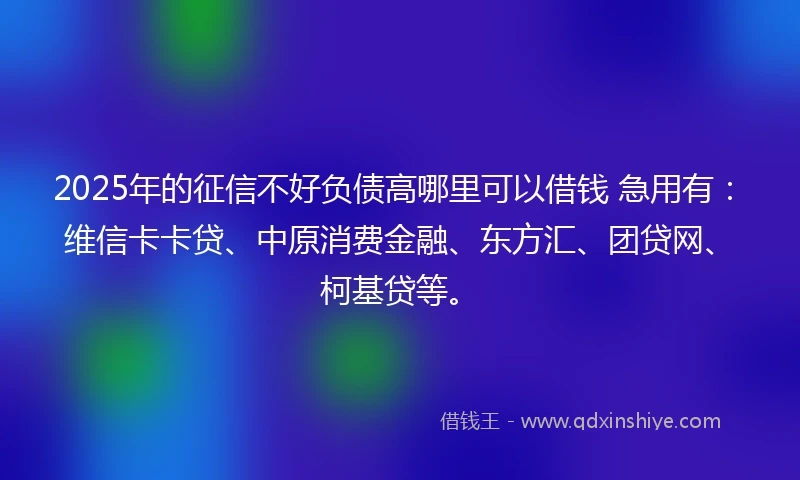 2025年的征信不好负债高哪里可以借钱 急用有：维信卡卡贷、中原消费金融、东方汇、团贷网、柯基贷等。