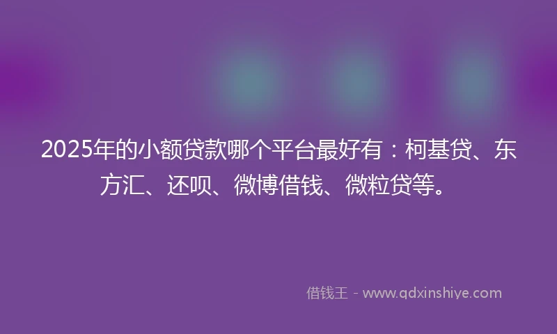 2025年的小额贷款哪个平台最好有：柯基贷、东方汇、还呗、微博借钱、微粒贷等。