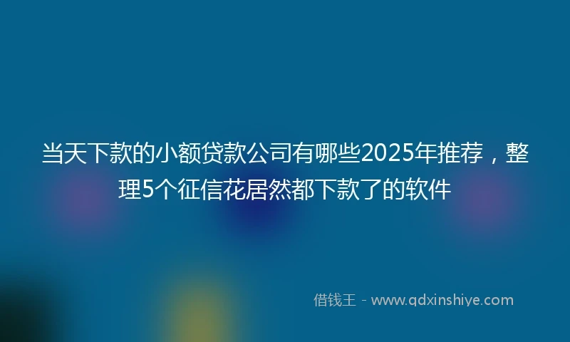 当天下款的小额贷款公司有哪些2025年推荐，整理5个征信花居然都下款了的软件