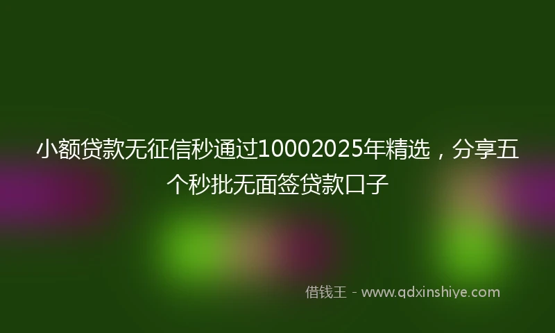小额贷款无征信秒通过10002025年精选，分享五个秒批无面签贷款口子