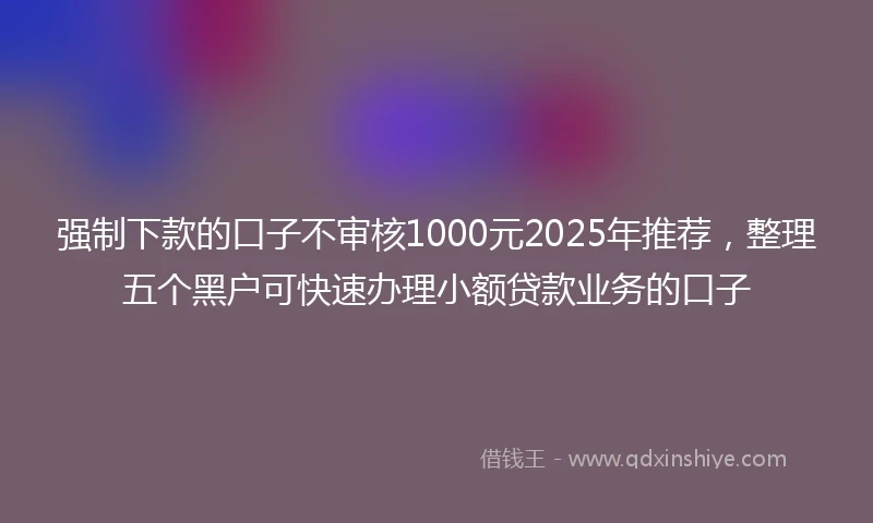 强制下款的口子不审核1000元2025年推荐，整理五个黑户可快速办理小额贷款业务的口子