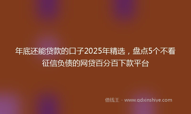 年底还能贷款的口子2025年精选，盘点5个不看征信负债的网贷百分百下款平台