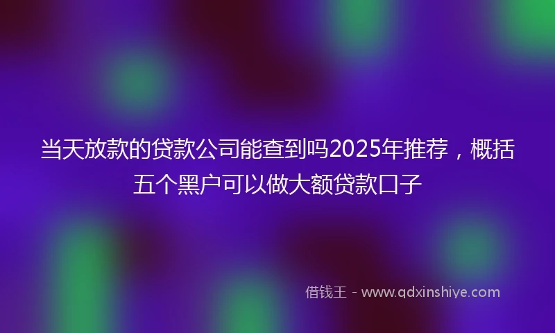 当天放款的贷款公司能查到吗2025年推荐，概括五个黑户可以做大额贷款口子