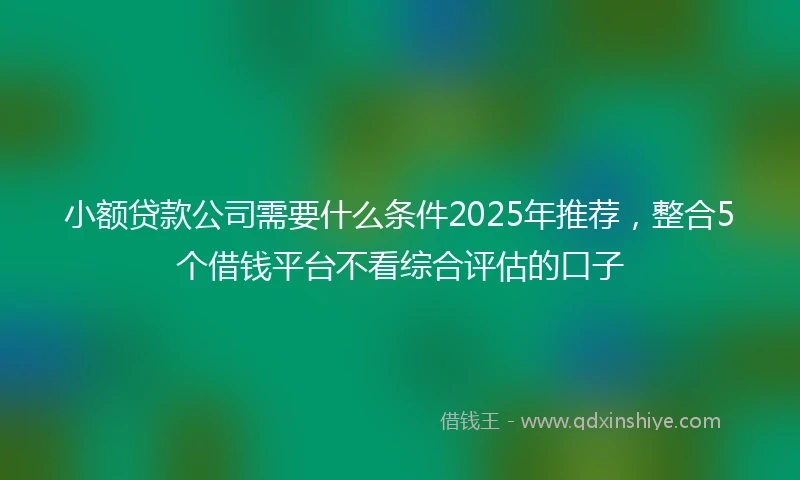 小额贷款公司需要什么条件2025年推荐，整合5个借钱平台不看综合评估的口子