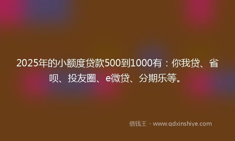2025年的小额度贷款500到1000有：你我贷、省呗、投友圈、e微贷、分期乐等。