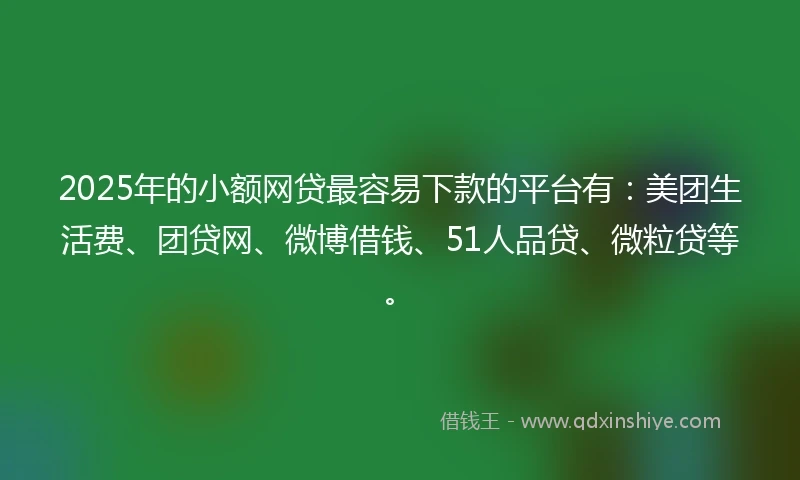 2025年的小额网贷最容易下款的平台有：美团生活费、团贷网、微博借钱、51人品贷、微粒贷等。