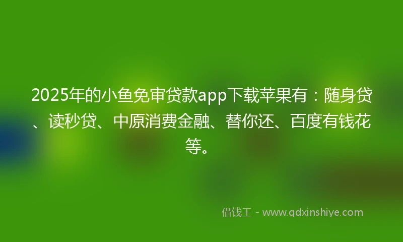 2025年的小鱼免审贷款app下载苹果有：随身贷、读秒贷、中原消费金融、替你还、百度有钱花等。