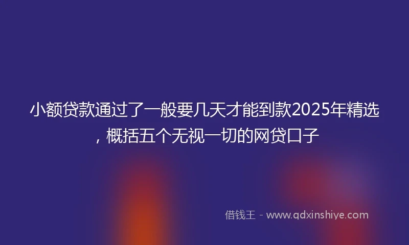小额贷款通过了一般要几天才能到款2025年精选，概括五个无视一切的网贷口子
