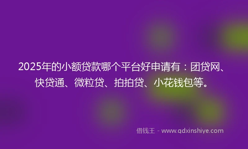 2025年的小额贷款哪个平台好申请有：团贷网、快贷通、微粒贷、拍拍贷、小花钱包等。