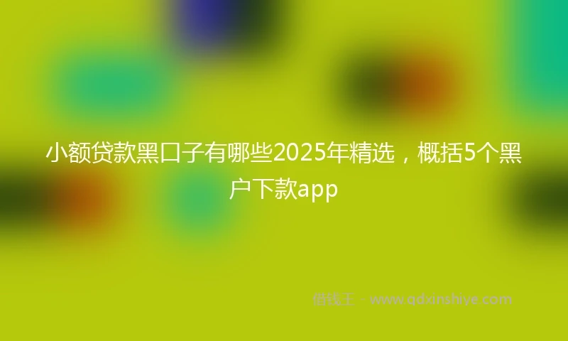 小额贷款黑口子有哪些2025年精选，概括5个黑户下款app