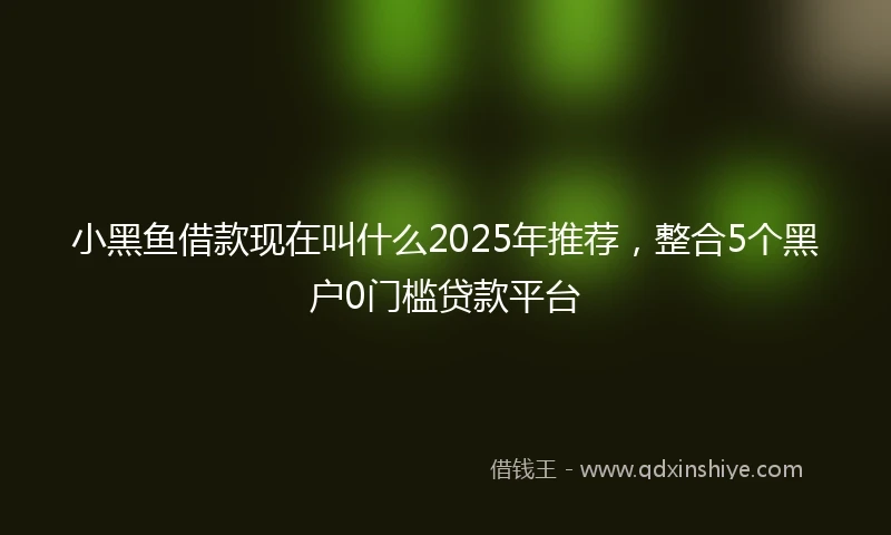 小黑鱼借款现在叫什么2025年推荐，整合5个黑户0门槛贷款平台