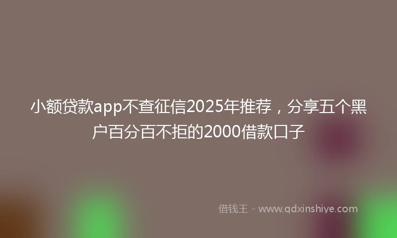 小额贷款app不查征信2025年推荐，分享五个黑户百分百不拒的2000借款口子