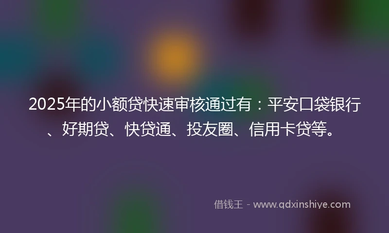 2025年的小额贷快速审核通过有：平安口袋银行、好期贷、快贷通、投友圈、信用卡贷等。