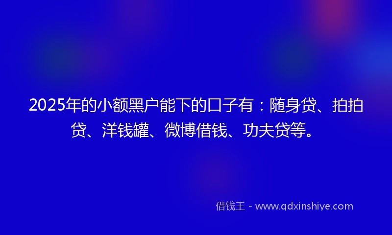2025年的小额黑户能下的口子有：随身贷、拍拍贷、洋钱罐、微博借钱、功夫贷等。