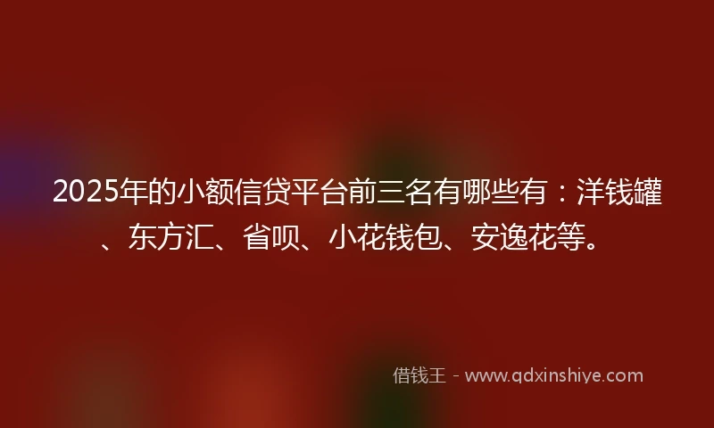 2025年的小额信贷平台前三名有哪些有：洋钱罐、东方汇、省呗、小花钱包、安逸花等。