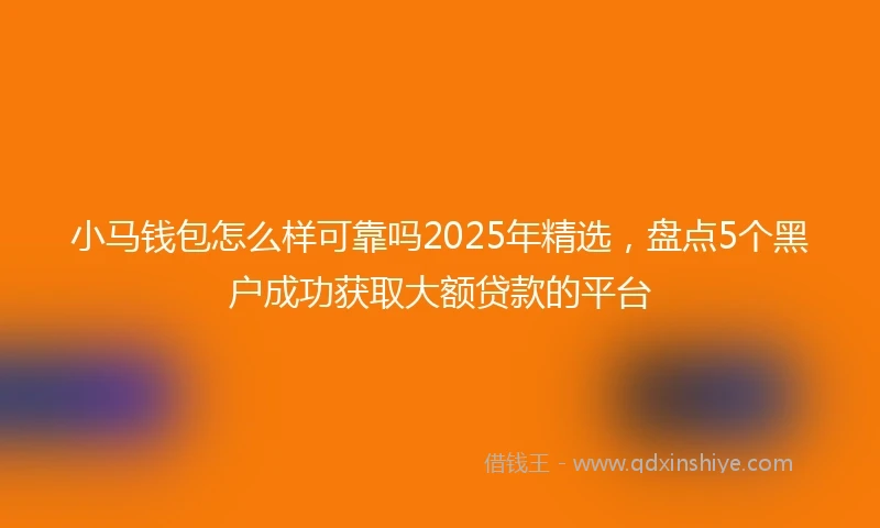 小马钱包怎么样可靠吗2025年精选，盘点5个黑户成功获取大额贷款的平台