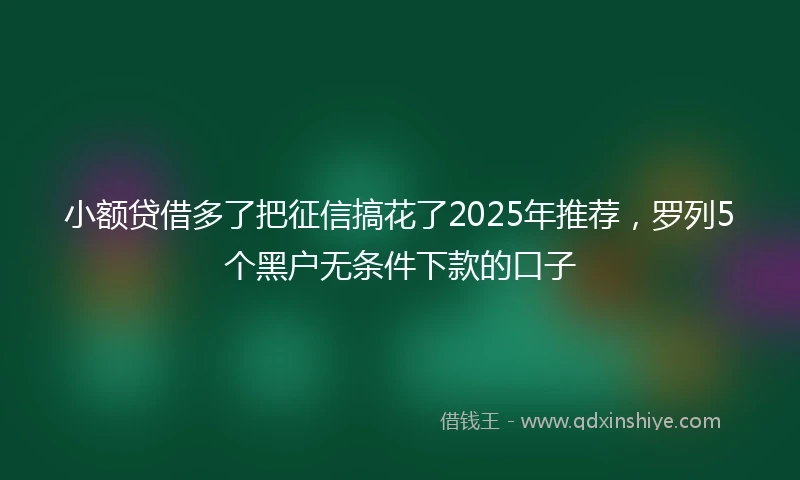 小额贷借多了把征信搞花了2025年推荐，罗列5个黑户无条件下款的口子