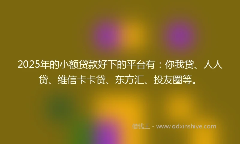 2025年的小额贷款好下的平台有：你我贷、人人贷、维信卡卡贷、东方汇、投友圈等。