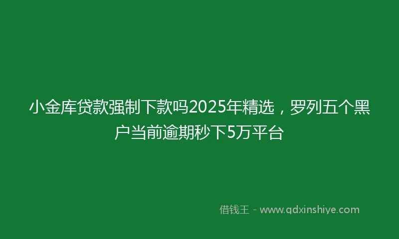 小金库贷款强制下款吗2025年精选，罗列五个黑户当前逾期秒下5万平台