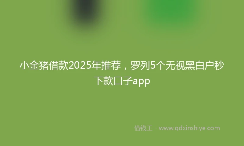 小金猪借款2025年推荐，罗列5个无视黑白户秒下款口子app
