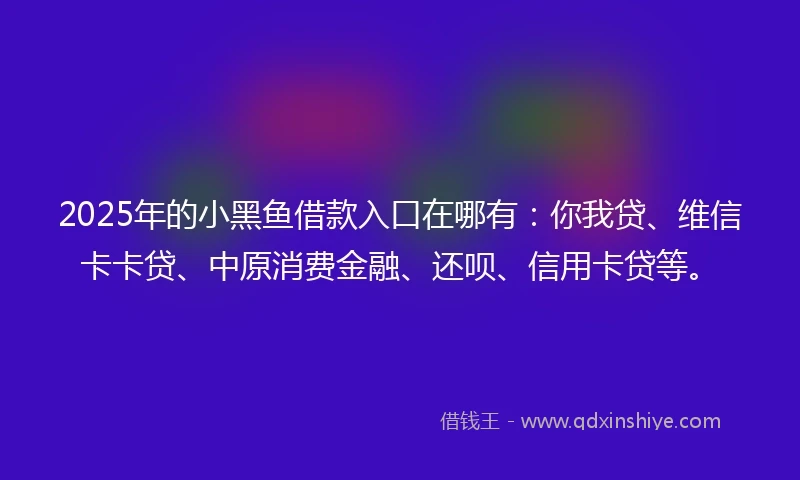 2025年的小黑鱼借款入口在哪有：你我贷、维信卡卡贷、中原消费金融、还呗、信用卡贷等。