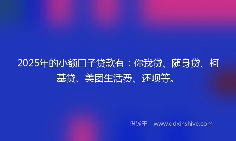 2025年的小额口子贷款有：你我贷、随身贷、柯基贷、美团生活费、还呗等。