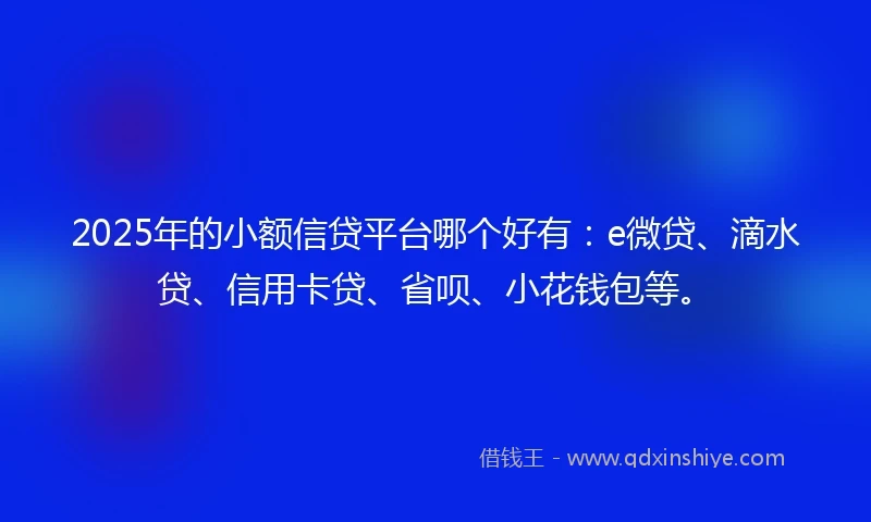 2025年的小额信贷平台哪个好有：e微贷、滴水贷、信用卡贷、省呗、小花钱包等。