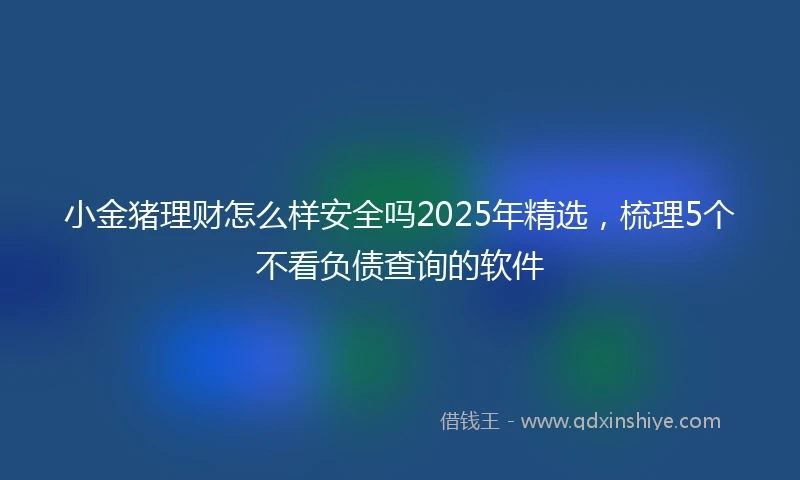 小金猪理财怎么样安全吗2025年精选，梳理5个不看负债查询的软件