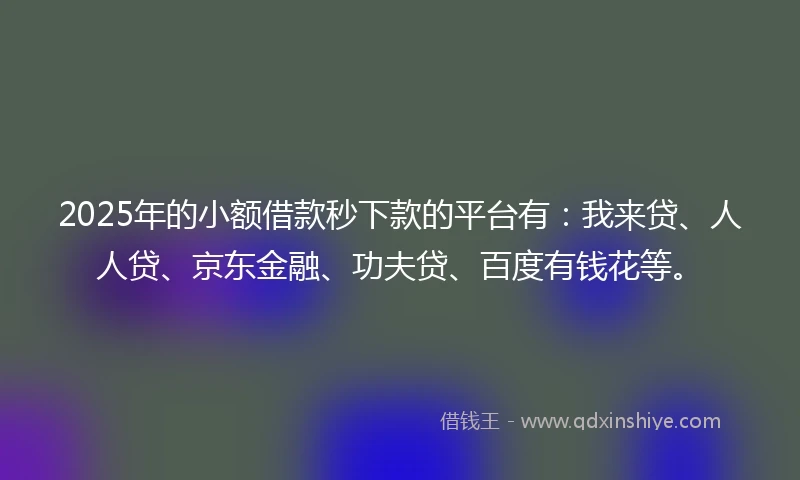 2025年的小额借款秒下款的平台有：我来贷、人人贷、京东金融、功夫贷、百度有钱花等。