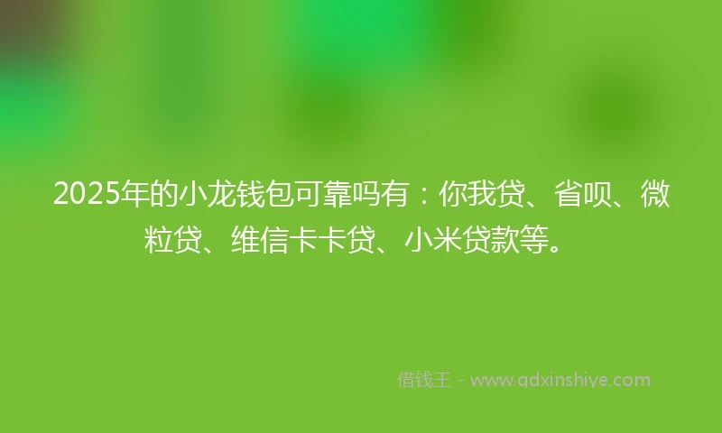 2025年的小龙钱包可靠吗有：你我贷、省呗、微粒贷、维信卡卡贷、小米贷款等。