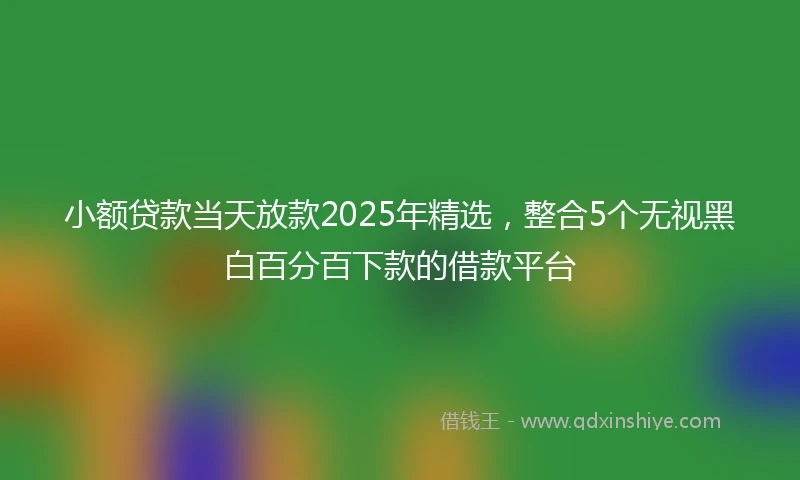 小额贷款当天放款2025年精选，整合5个无视黑白百分百下款的借款平台