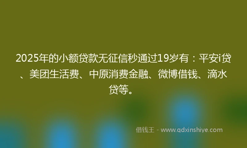 2025年的小额贷款无征信秒通过19岁有：平安i贷、美团生活费、中原消费金融、微博借钱、滴水贷等。