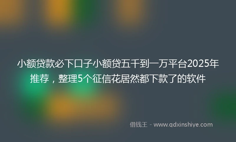 小额贷款必下口子小额贷五千到一万平台2025年推荐，整理5个征信花居然都下款了的软件