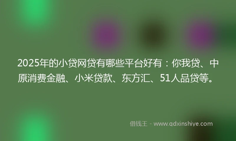 2025年的小贷网贷有哪些平台好有：你我贷、中原消费金融、小米贷款、东方汇、51人品贷等。