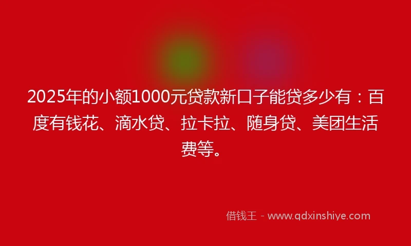 2025年的小额1000元贷款新口子能贷多少有：百度有钱花、滴水贷、拉卡拉、随身贷、美团生活费等。