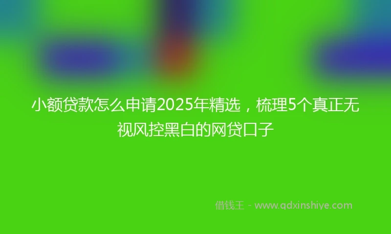 小额贷款怎么申请2025年精选，梳理5个真正无视风控黑白的网贷口子