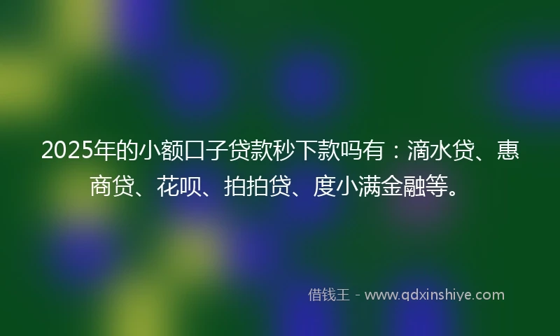 2025年的小额口子贷款秒下款吗有：滴水贷、惠商贷、花呗、拍拍贷、度小满金融等。