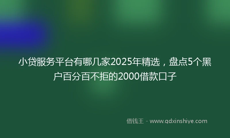 小贷服务平台有哪几家2025年精选，盘点5个黑户百分百不拒的2000借款口子