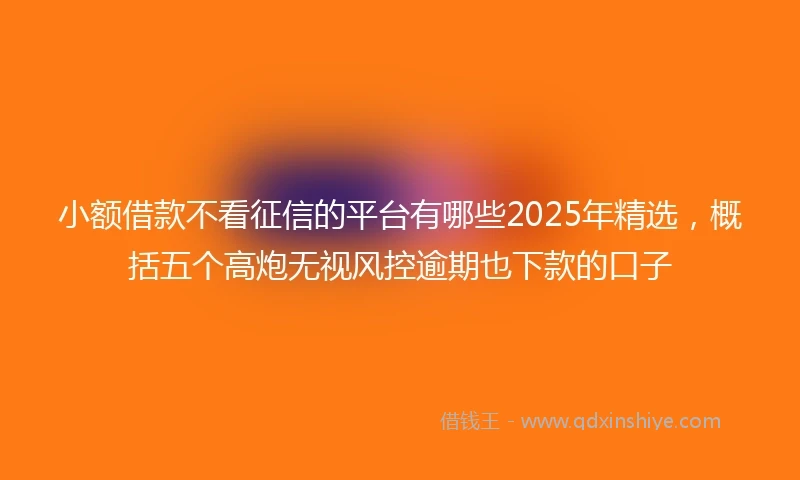 小额借款不看征信的平台有哪些2025年精选，概括五个高炮无视风控逾期也下款的口子