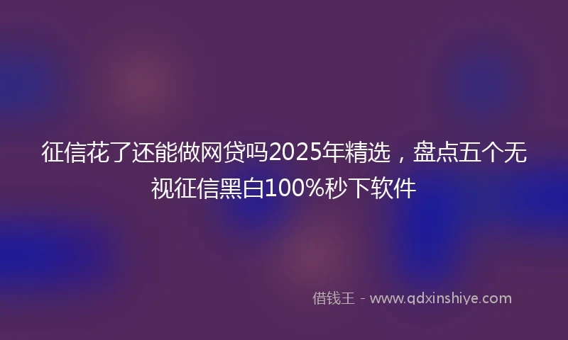 征信花了还能做网贷吗2025年精选，盘点五个无视征信黑白100%秒下软件