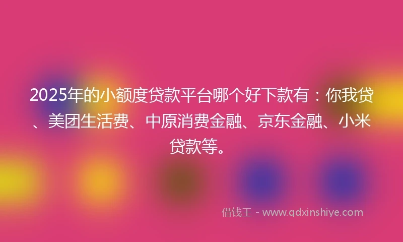 2025年的小额度贷款平台哪个好下款有：你我贷、美团生活费、中原消费金融、京东金融、小米贷款等。