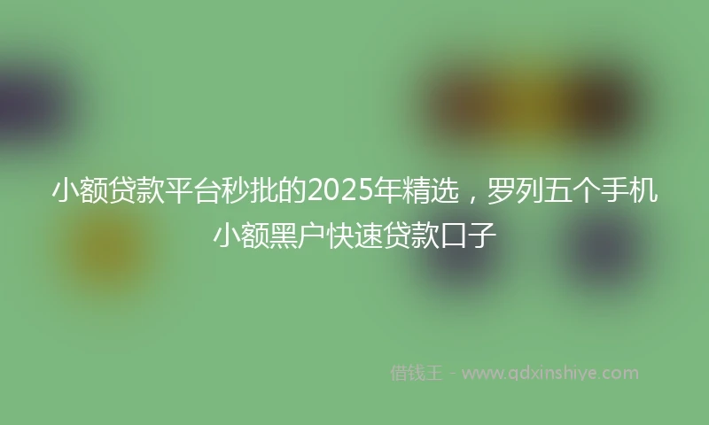 小额贷款平台秒批的2025年精选，罗列五个手机小额黑户快速贷款口子