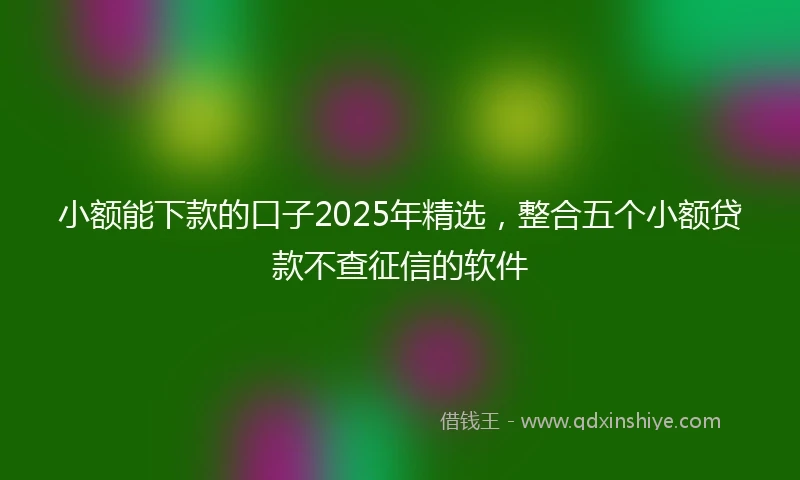 小额能下款的口子2025年精选，整合五个小额贷款不查征信的软件
