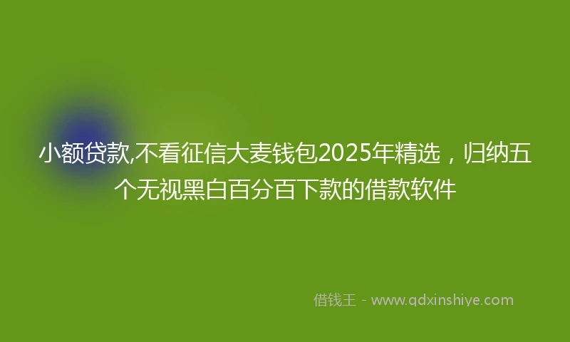 小额贷款,不看征信大麦钱包2025年精选，归纳五个无视黑白百分百下款的借款软件